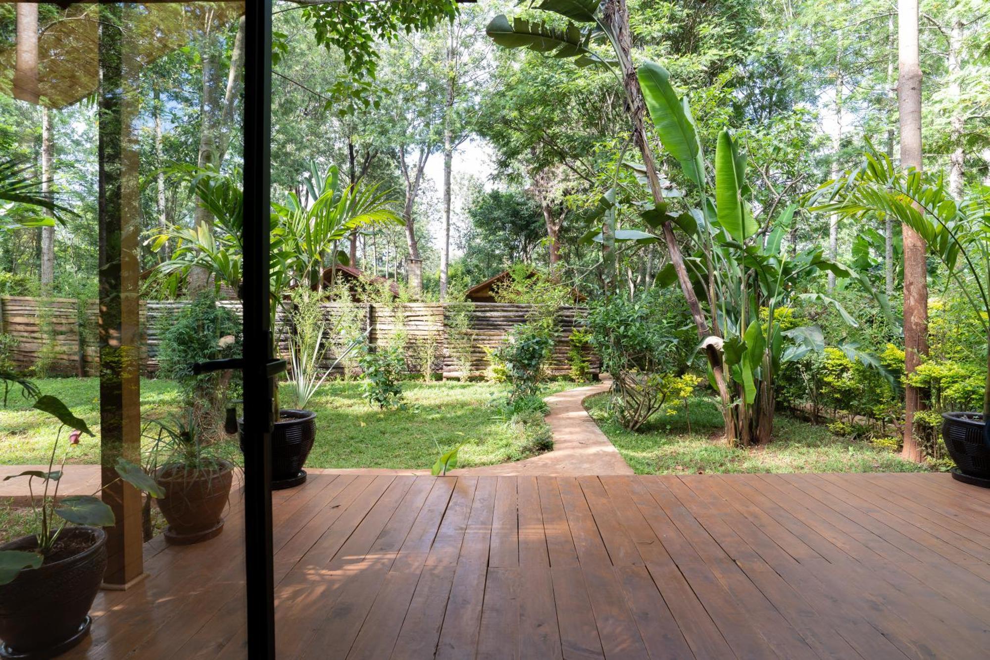 דירות ניירובי The Jungle Oasis With Heated Pool מראה חיצוני תמונה